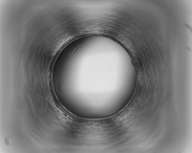 X0000098100434200804181429