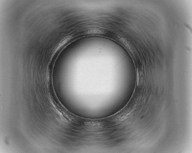 X0000098100435200804181429
