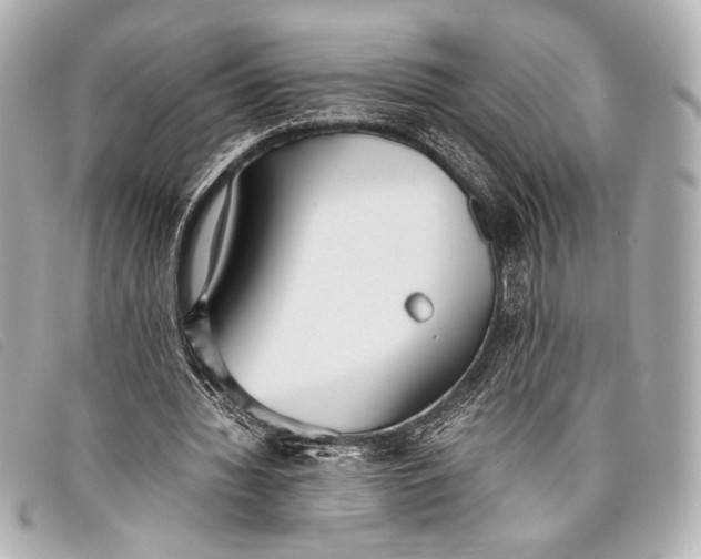 X0000098100436200804181429
