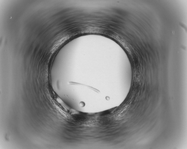 X0000098100437200804181429