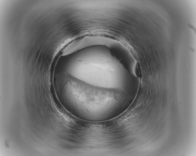 X0000098100438200804181429