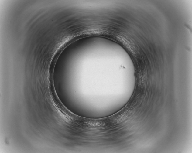X0000098100439200804181429