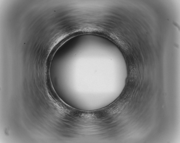 X0000098100440200804181429