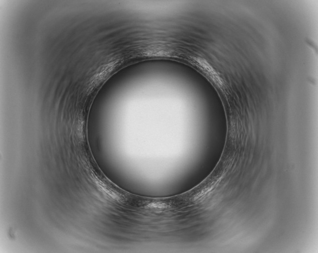 X0000098100441200804181429