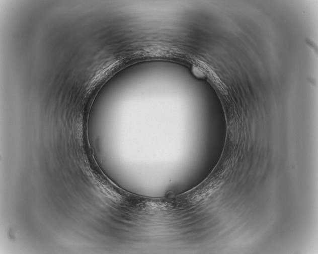 X0000098100442200804181429