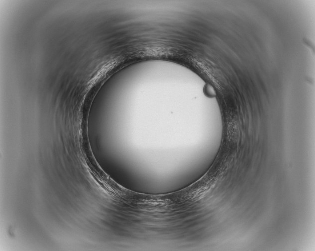 X0000098100443200804181429