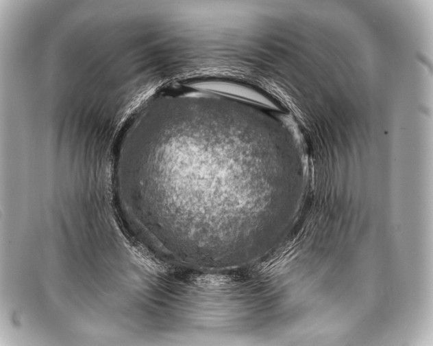 X0000098100444200804181429
