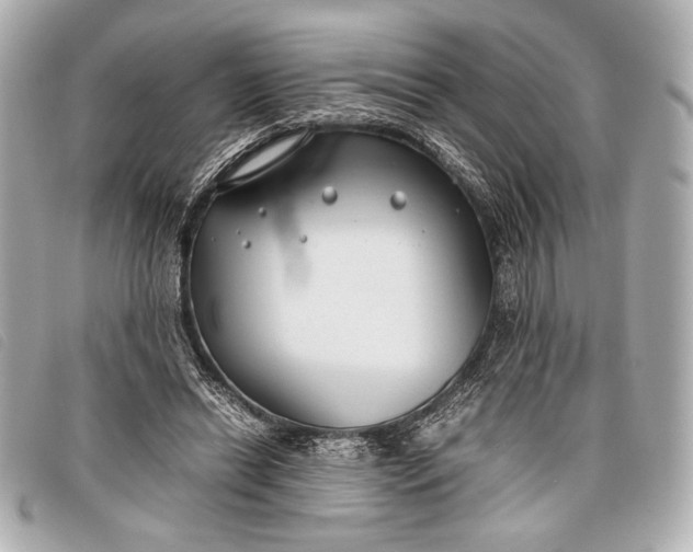 X0000098100446200804181429