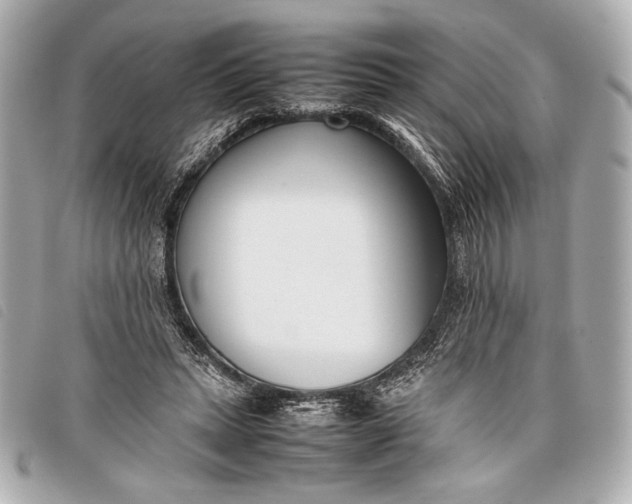 X0000098100447200804181429