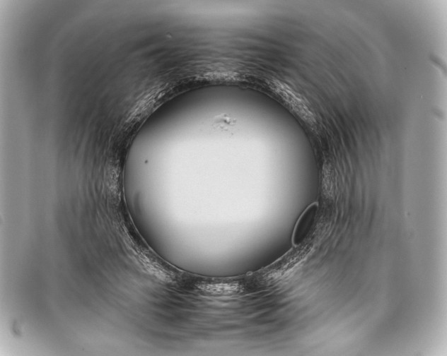 X0000098100449200804181429