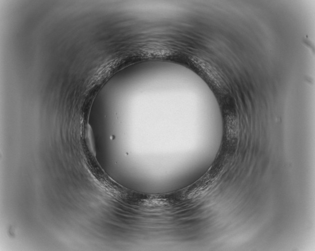X0000098100451200804181429
