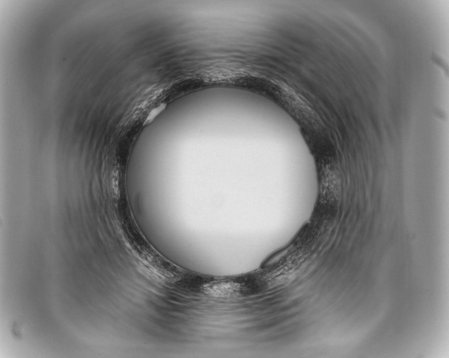 X0000098100452200804181429