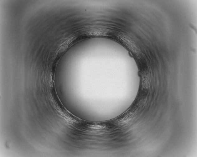 X0000098100453200804181429