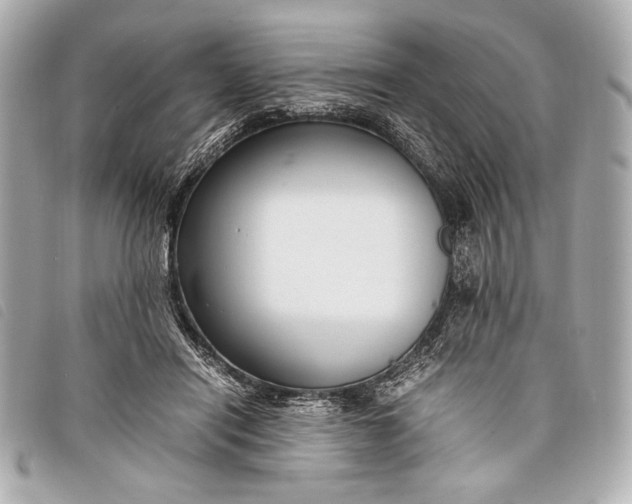 X0000098100454200804181429