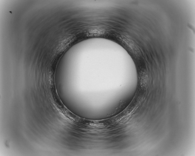 X0000098100455200804181429