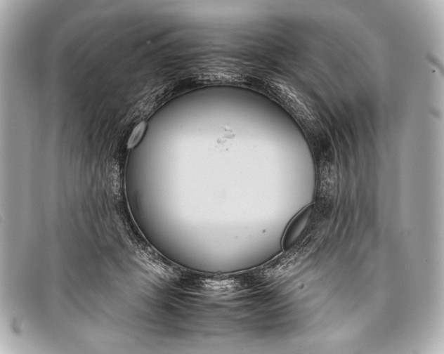 X0000098100457200804181429