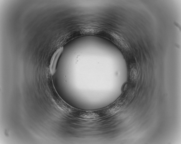 X0000098100459200804181429