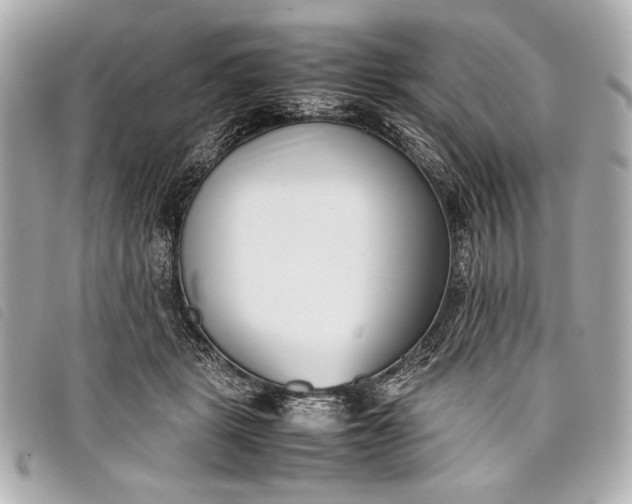 X0000098100461200804181429