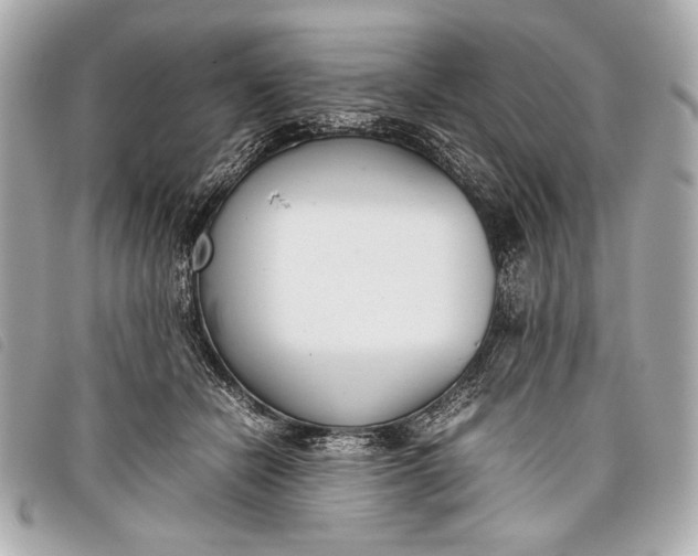X0000098100462200804181429