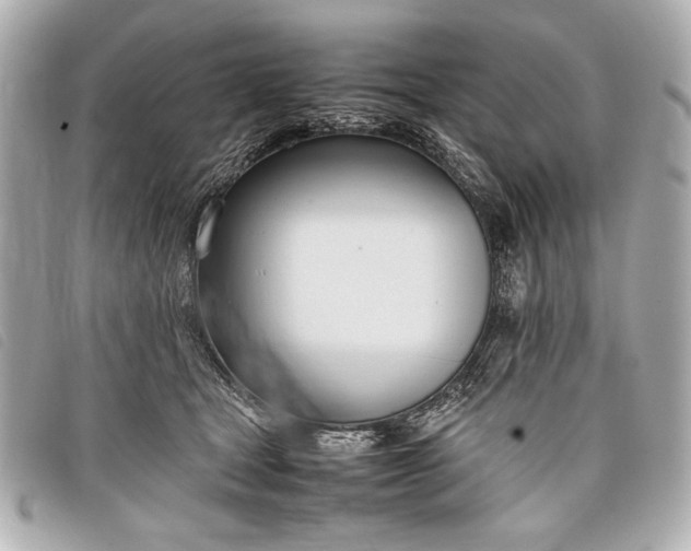 X0000098100465200804181429