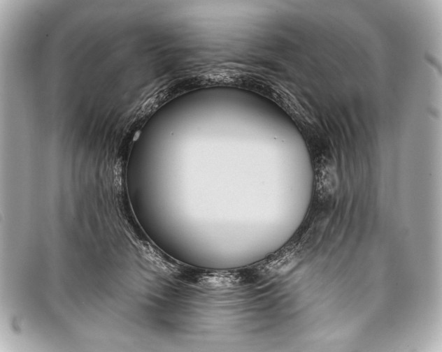 X0000098100466200804181429