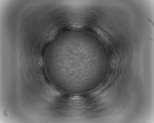 X0000098100467200804181429