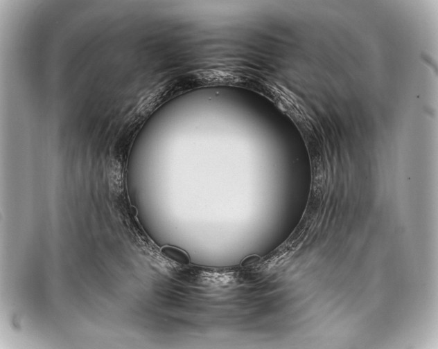 X0000098100469200804181429