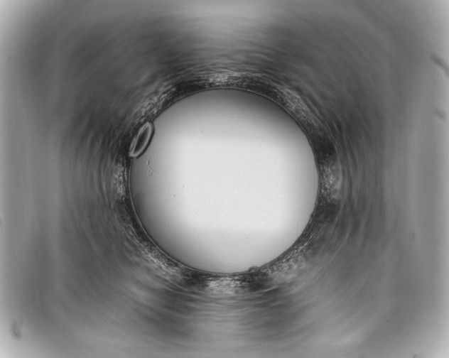 X0000098100470200804181429