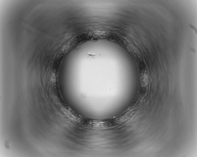 X0000098100472200804181429