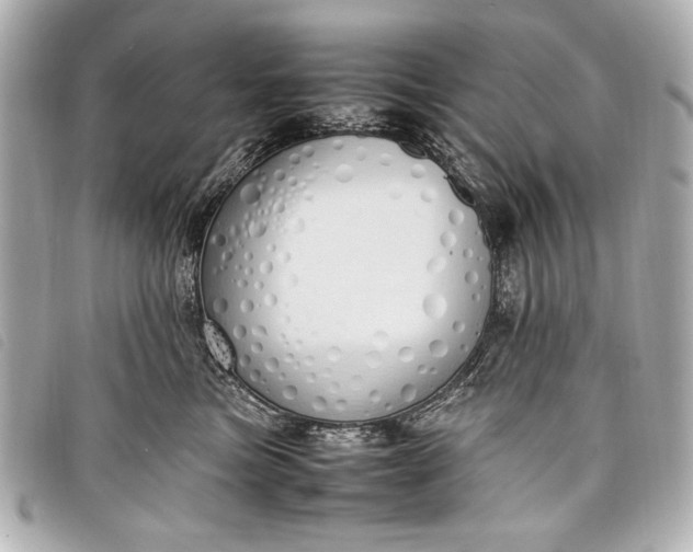 X0000098100473200804181429
