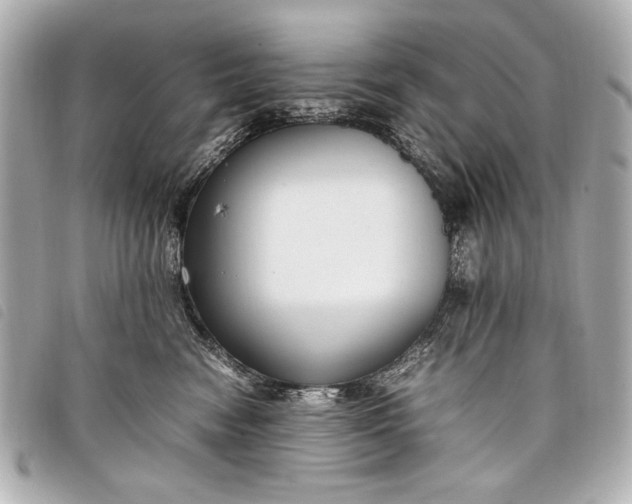 X0000098100474200804181429