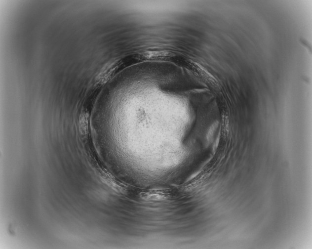 X0000098100475200804181429
