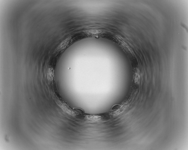 X0000098100476200804181429