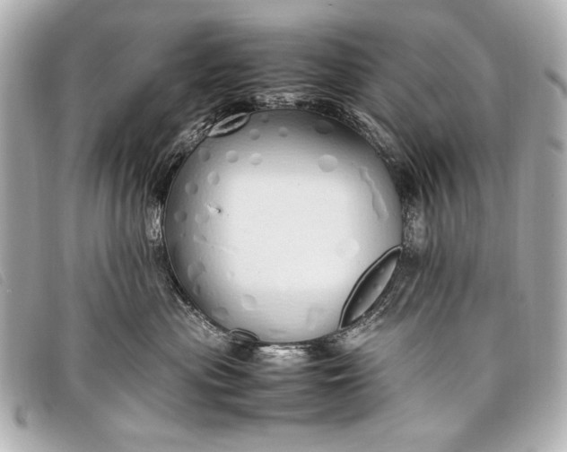 X0000098100477200804181429