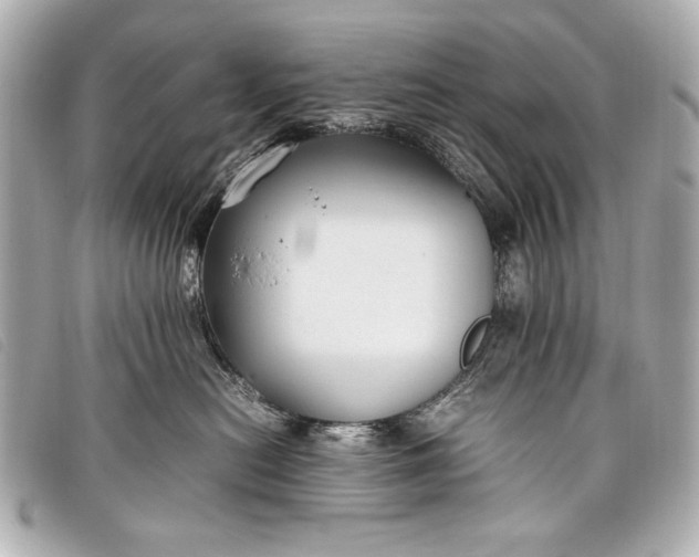 X0000098100478200804181429