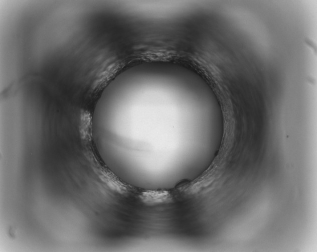 X0000098100480200804181429