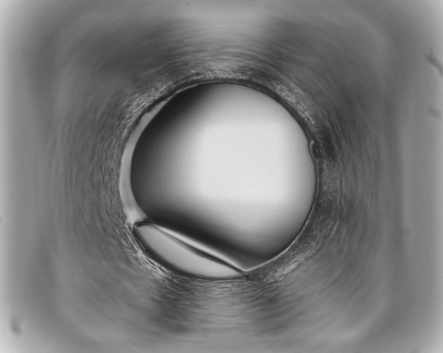 X0000098100481200804181429