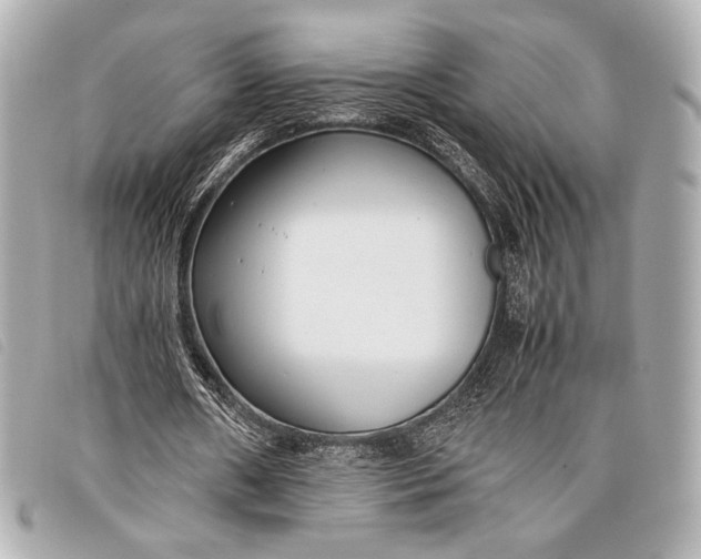 X0000098100482200804181429