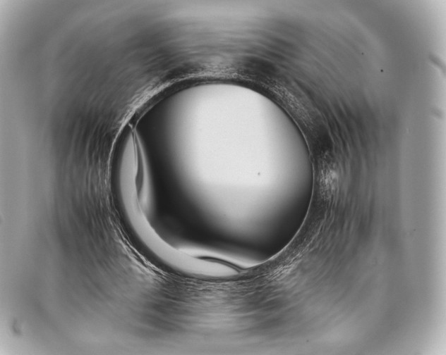 X0000098100484200804181429