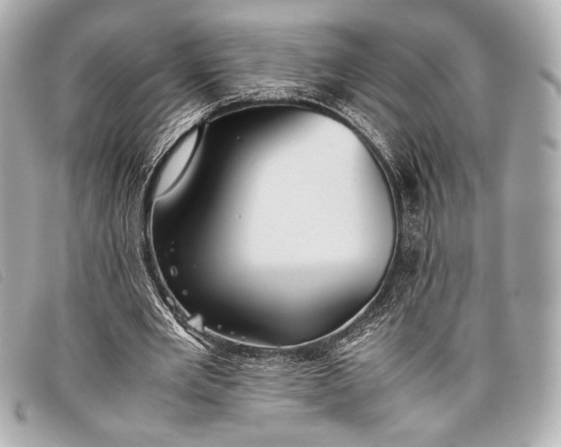 X0000098100485200804181429
