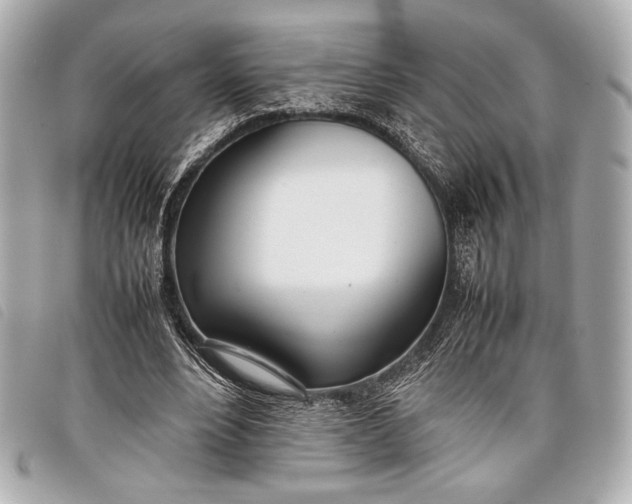 X0000098100488200804181429