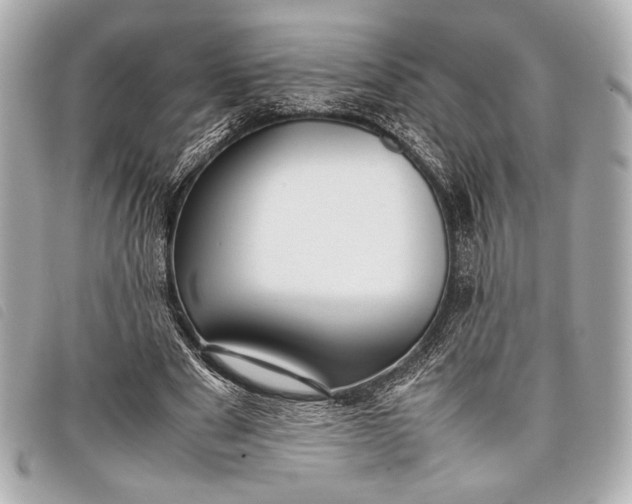 X0000098100489200804181429