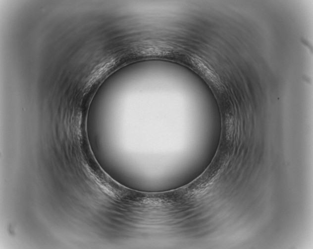 X0000098100490200804181429