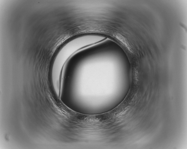 X0000098100491200804181429