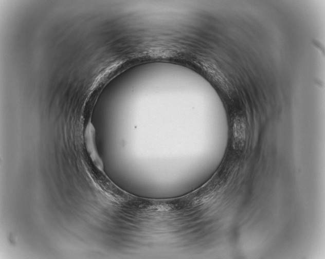 X0000098100492200804181429