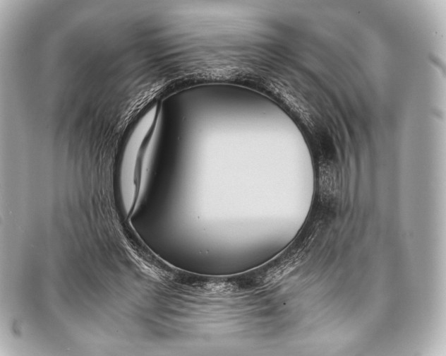 X0000098100493200804181428