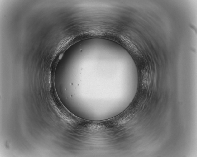 X0000098100494200804181428