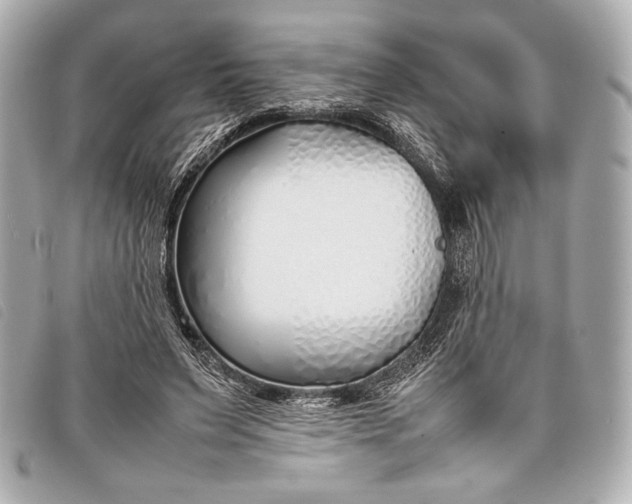X0000098100495200804181428