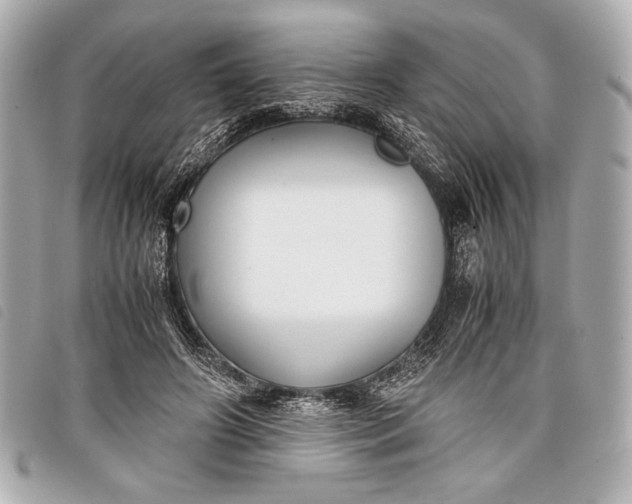 X0000098100498200804181428