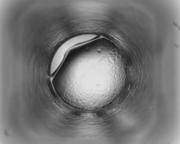 X0000098100499200804181428